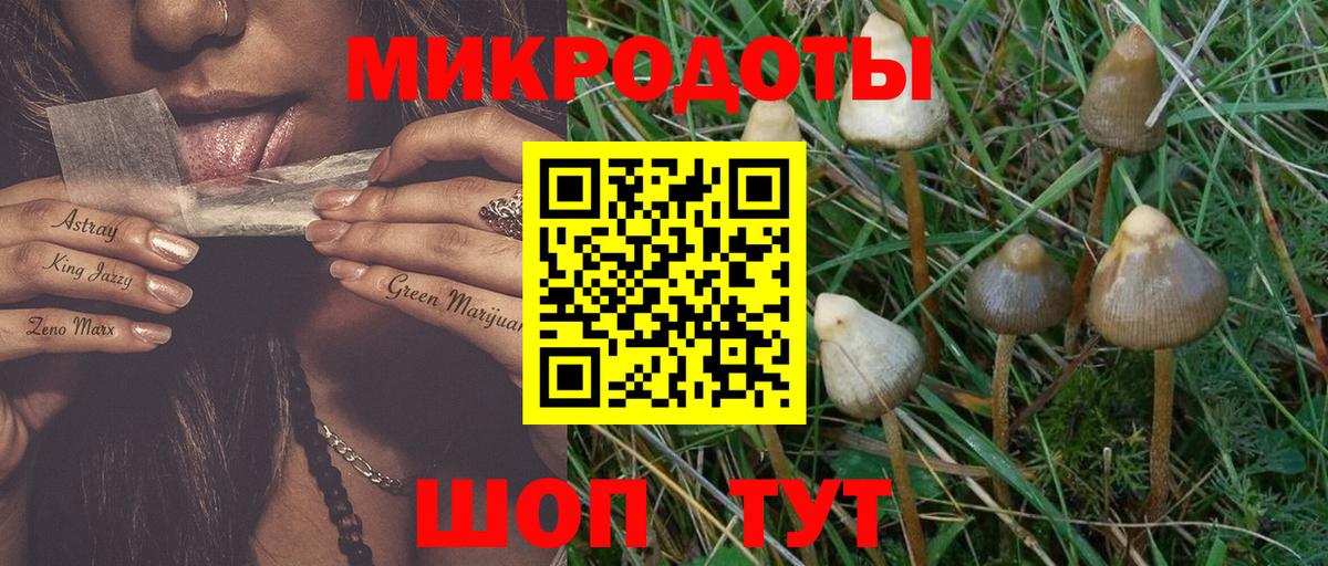 Избербаш  где продают   Вход с VPN  Галлюциногенные грибы мухоморы 