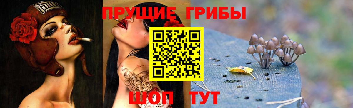 Псилоцибиновые грибы Psilocybine cubensis Избербаш
